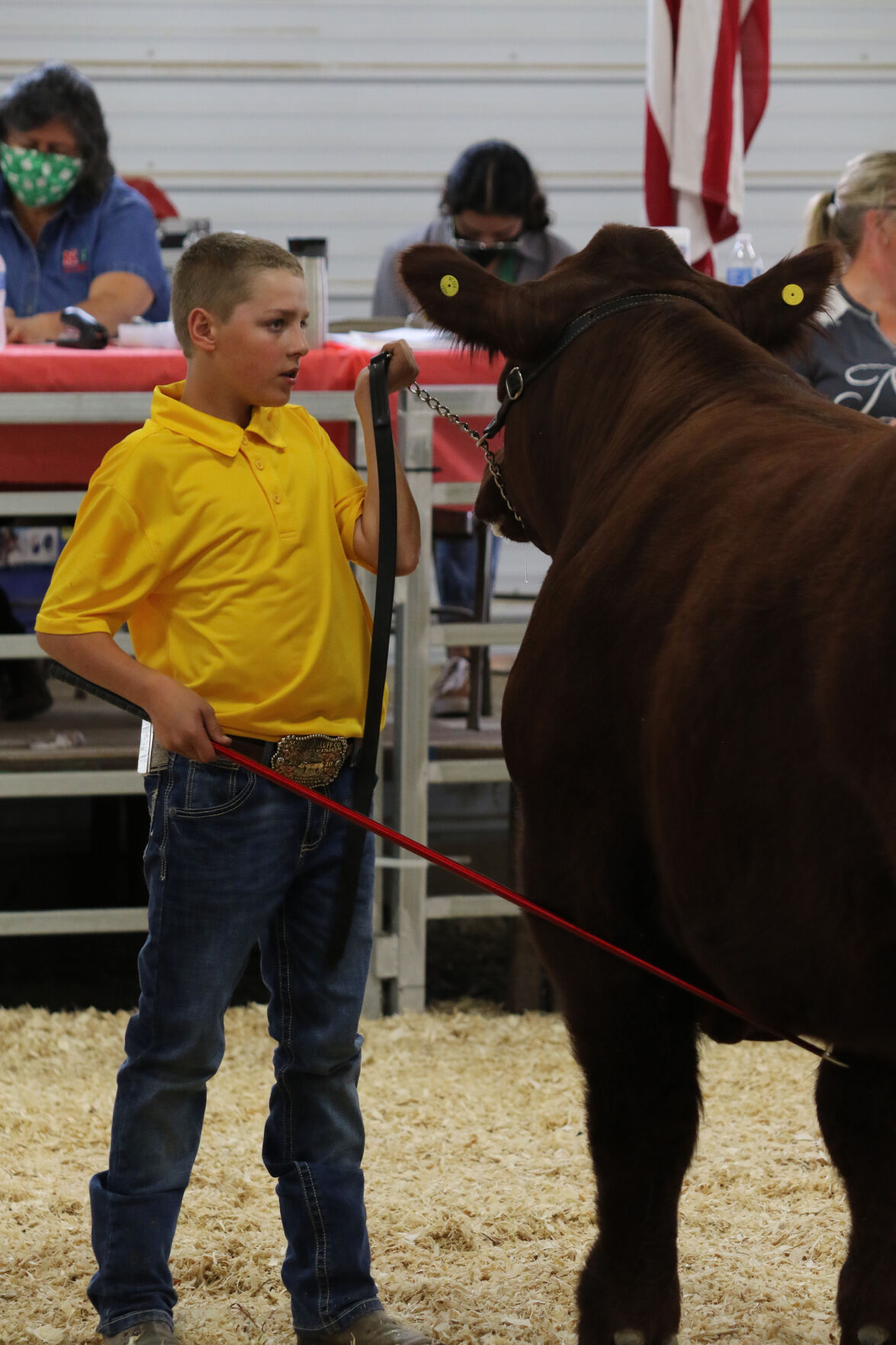 PHOTOS: Market Beef Show 2020
